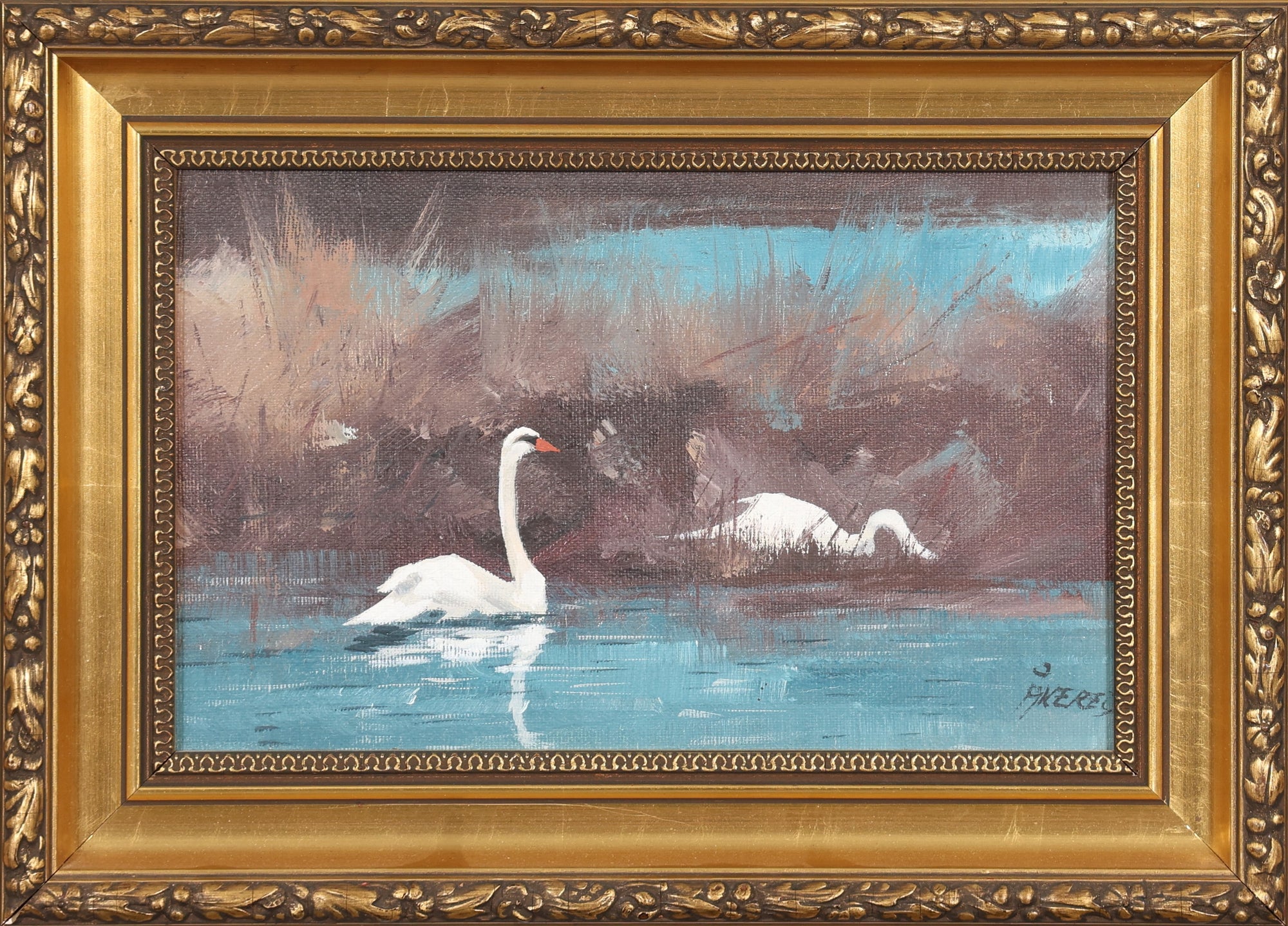 Swans