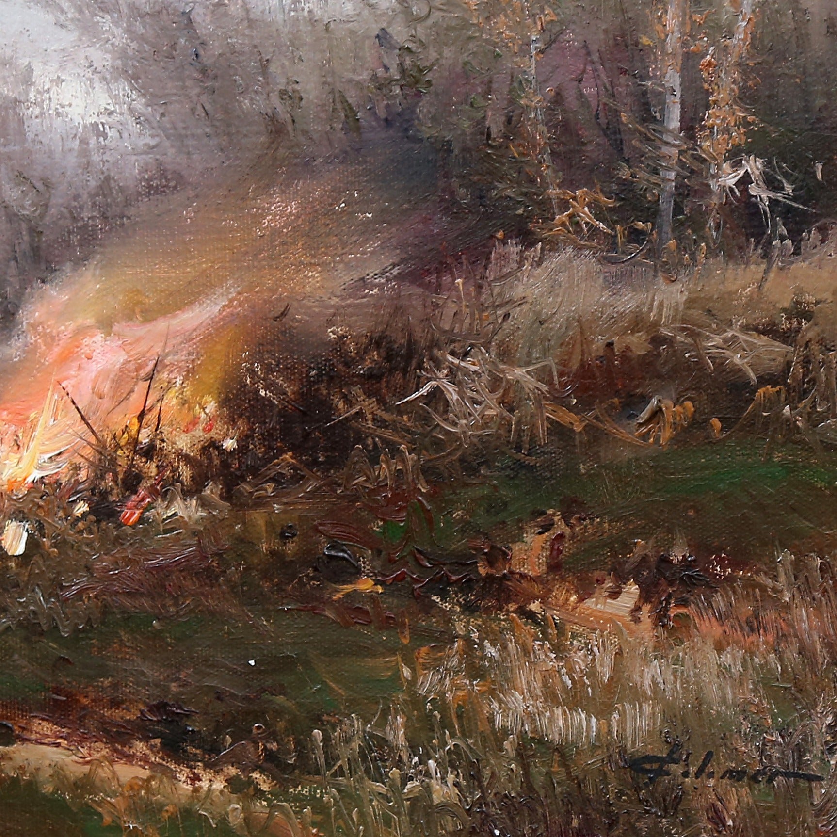 Bushfire Embers