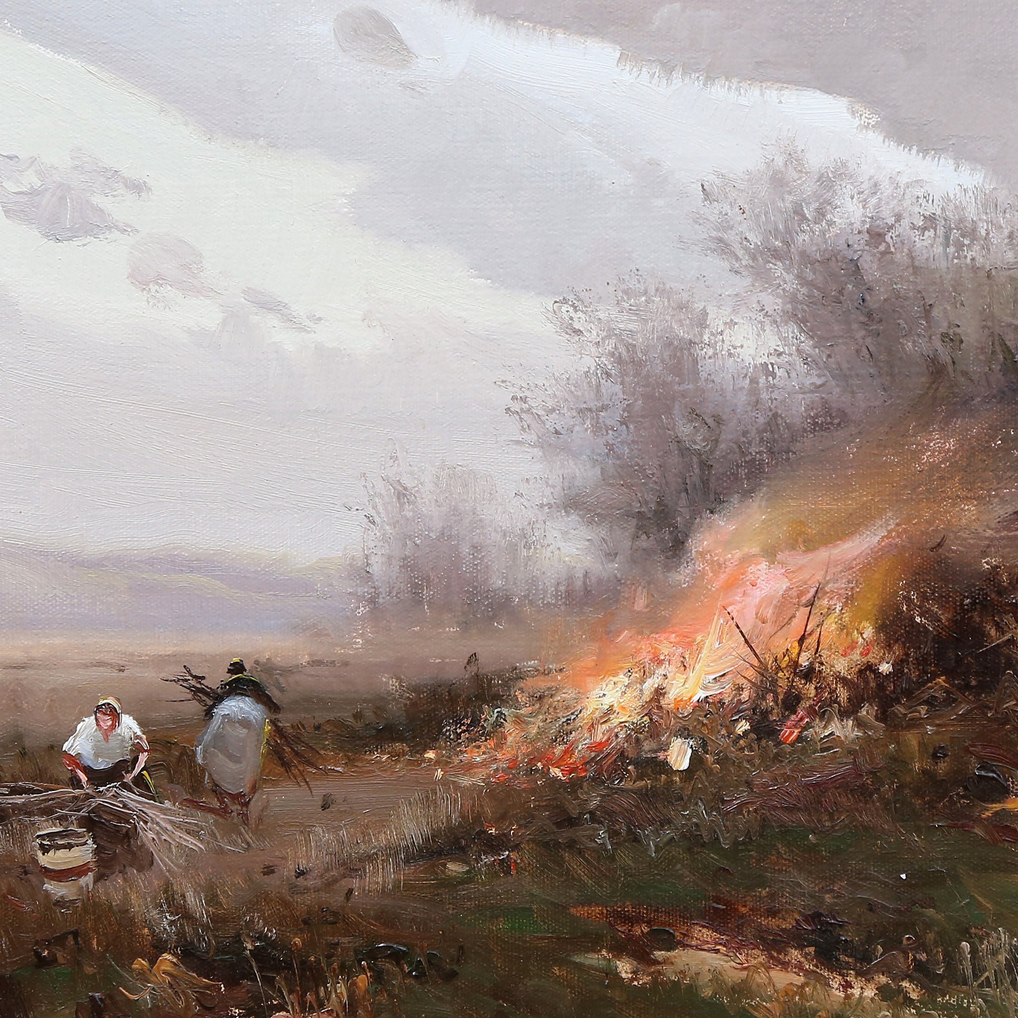 Bushfire Embers