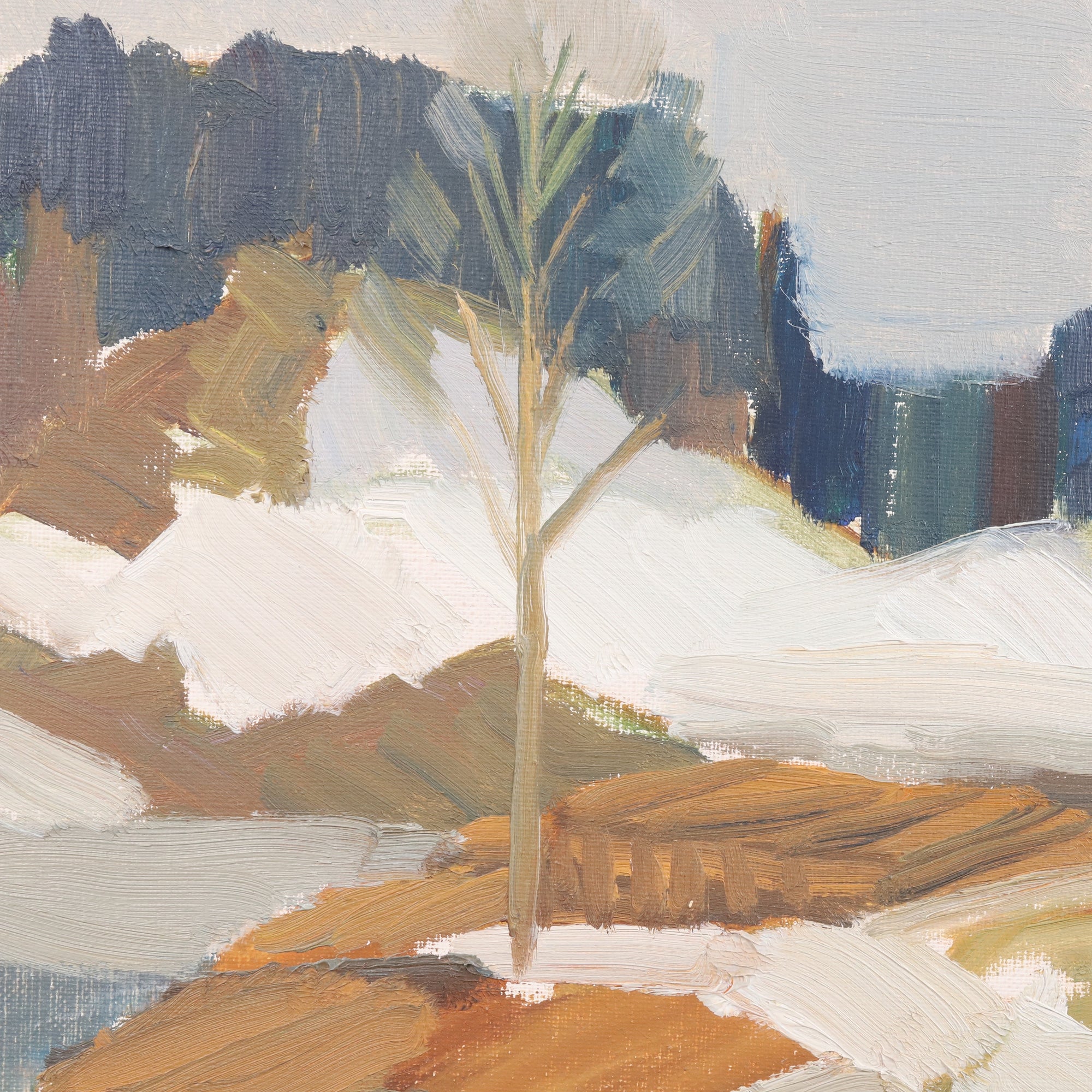 Spring Winter